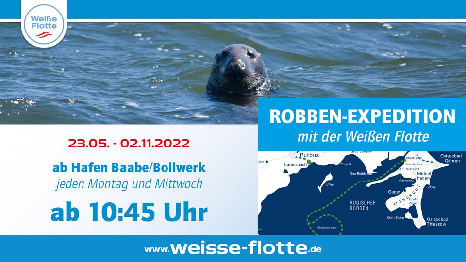 Robbenfahrten ab Baabe (Bollwerk)