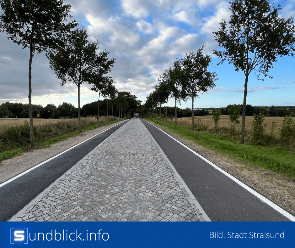 FB Artikelbild 11