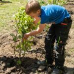 Das bunte Naturspielband