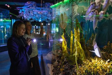 Taschenlampenführung im OZEANEUM