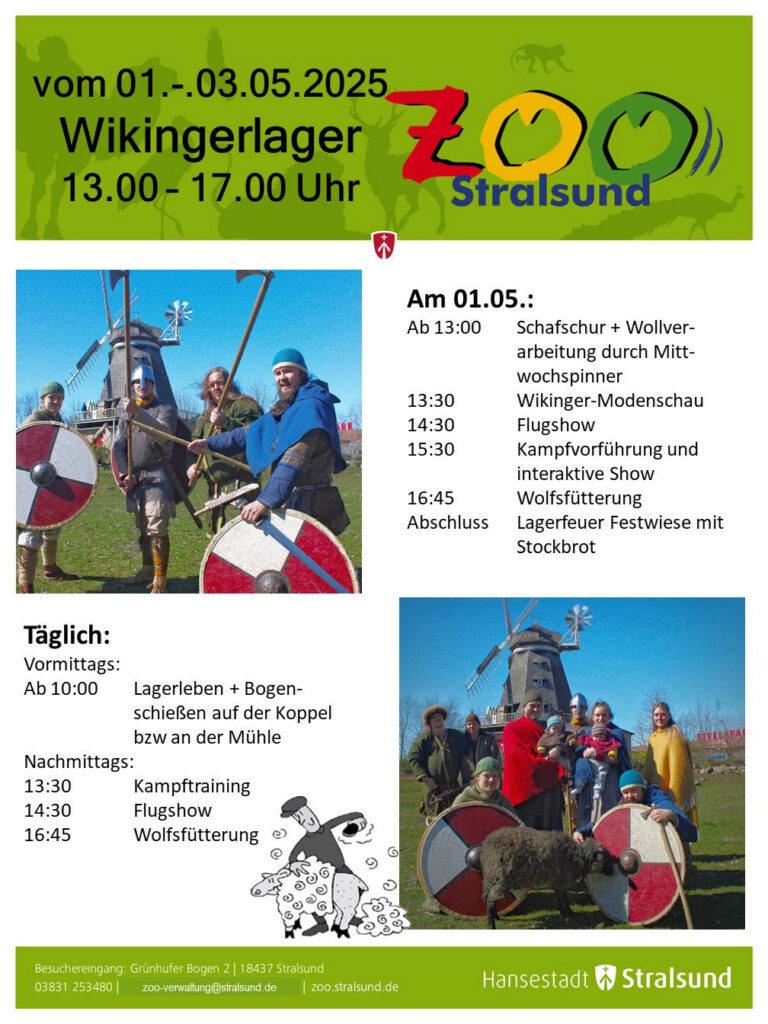 2025 Wikingertage A3 PlakatProgramm