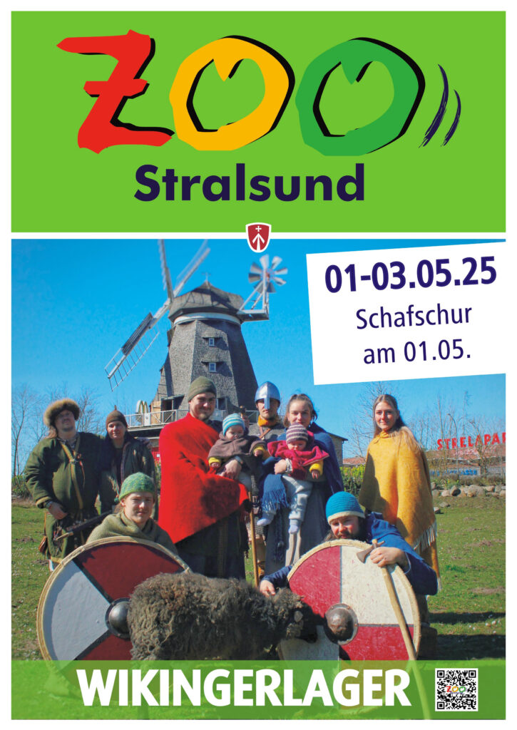 2025 wikingerlager