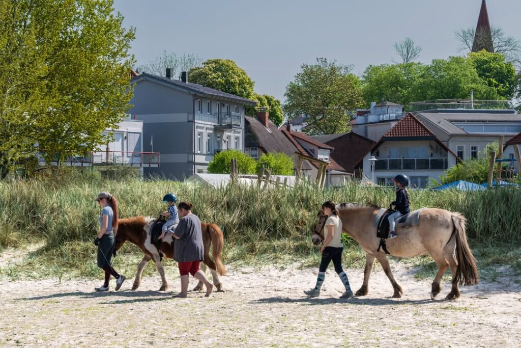 Sonnenschein und Hering satt: Das 33. Heringsfest in Altefähr begeisterte! 8 494329886 2403951426634674 1422774307315021898 n