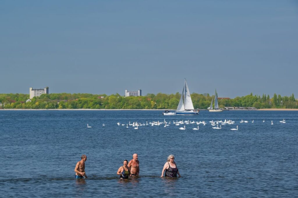 Sonnenschein und Hering satt: Das 33. Heringsfest in Altefähr begeisterte! 3 494340426 1107875087769044 8475166732377292070 n