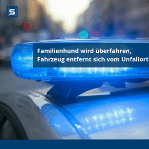 Familienhund wird überfahren, Fahrzeug entfernt sich vom Unfallort