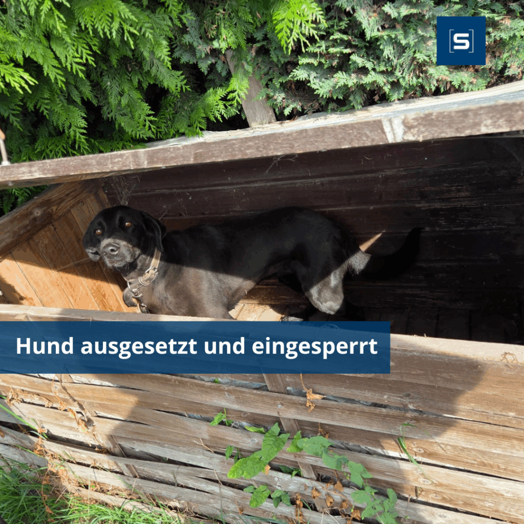 FB Artikelbild inkl Schrift 15