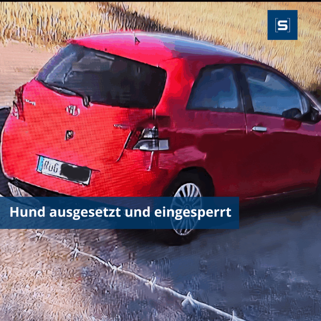 FB Artikelbild inkl Schrift 17