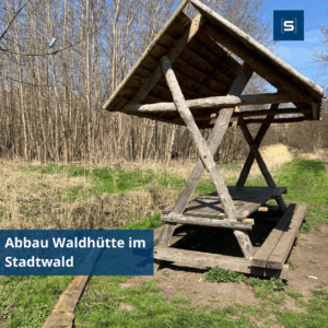 Das traurige Ende einer Waldhütte: Vandalismus zerstört Erholungsort im Stralsunder Stadtwald