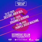 Purple Disco Machine