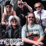 CrazyBirds | electra-Songs original