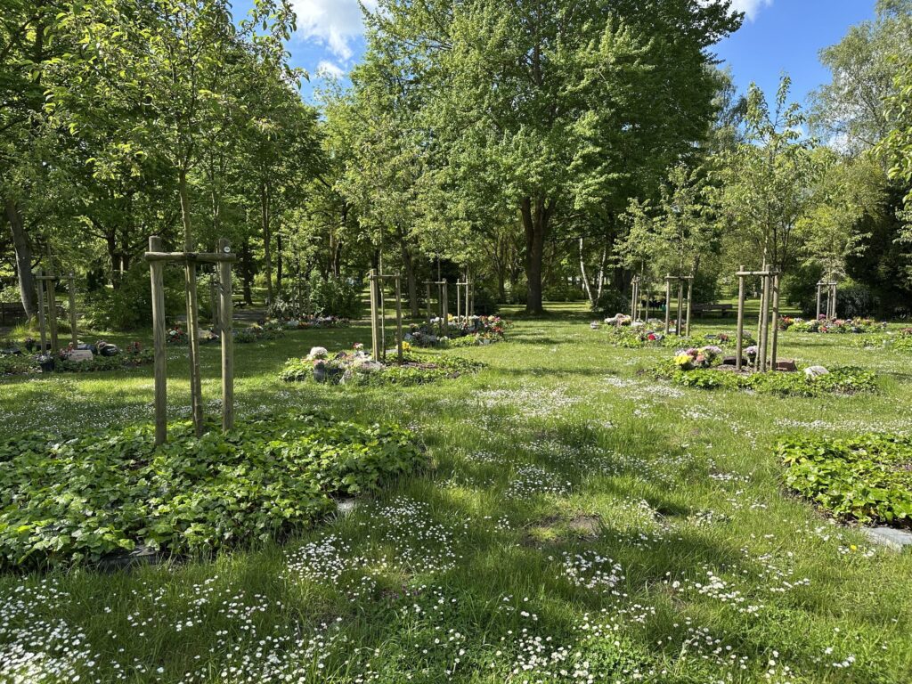 Urnen Baumwahlgrab Idylle der Ruhe und Erinnerung