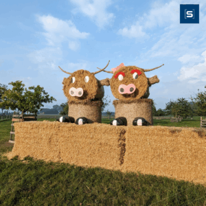 Herzliche Einladung zum Michaeli-Kulturfest in Hohenwieden