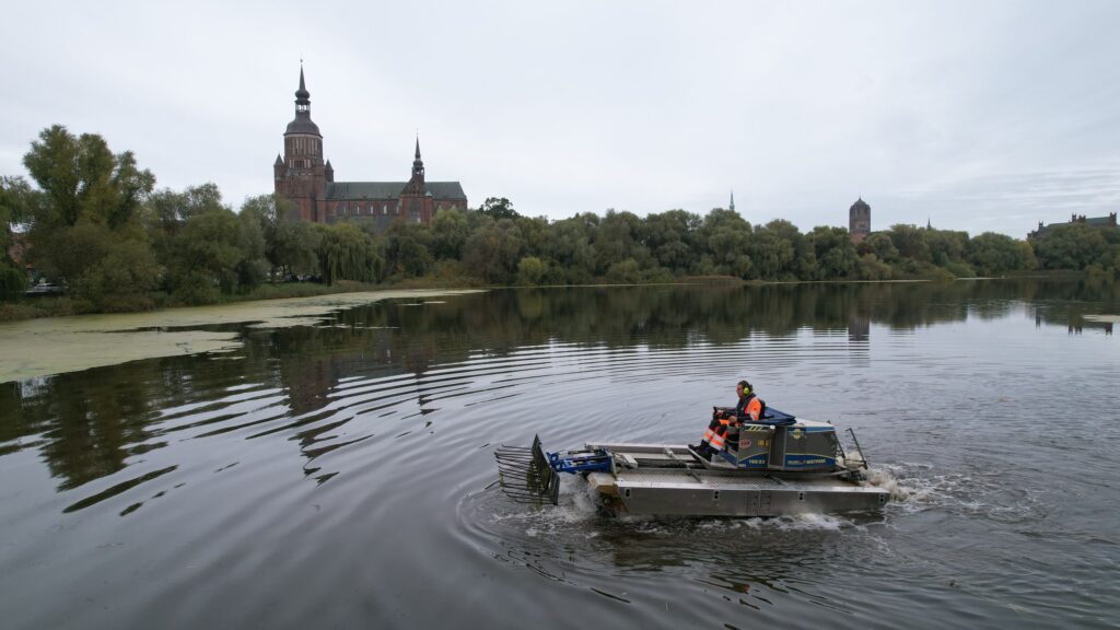 🌿 Ungewöhnlicher Einsatz: Stralsund „kämmt“ Algen auf dem Kleinen Frankenteich 🌊 4 Das Amphibienboot auf dem Kleinen Frankenteich mit dem Gabelaufsatz