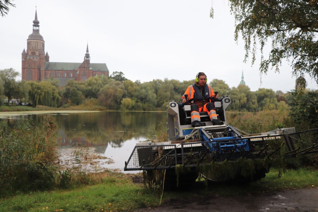🌿 Ungewöhnlicher Einsatz: Stralsund „kämmt“ Algen auf dem Kleinen Frankenteich 🌊 2 Paul Schwarz steuert das Amphibienboot auf den Kleinen Frankenteich