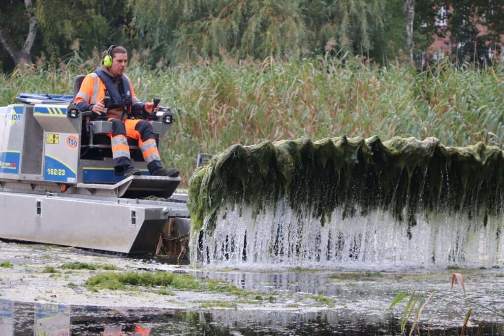 🌿 Ungewöhnlicher Einsatz: Stralsund „kämmt“ Algen auf dem Kleinen Frankenteich 🌊 1 Tuxor Amphibienboot im Einsatz gegen die Algen auf dem Kleinen Frankenteich