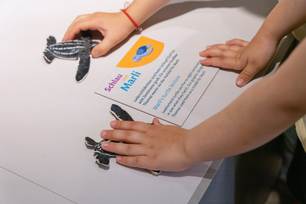 02 MEERESMUSEUM Marli Station Foto Anke Neumeister DMM