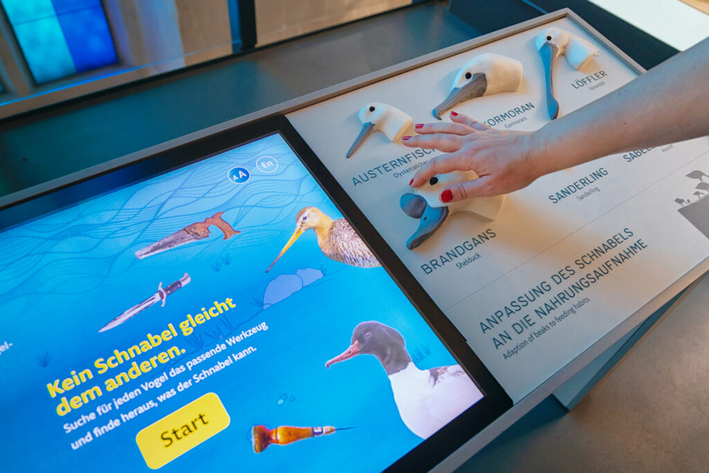 03 MEERESMUSEUM Tastenstation Foto Anke Neumeister DMM