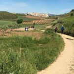 Pilgern in Spanien: Einmal den Jakobsweg gehen