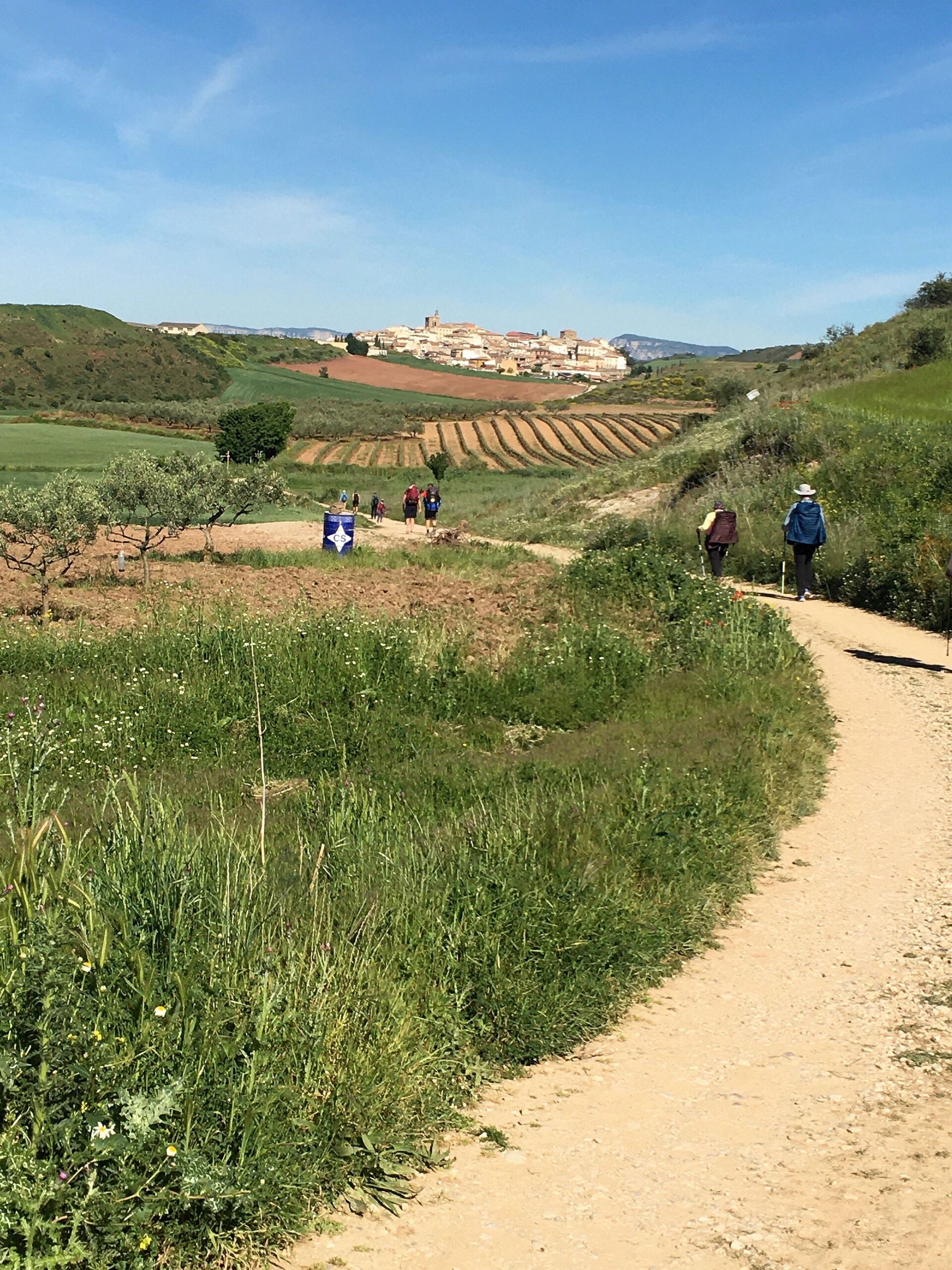 Pilgern in Spanien: Einmal den Jakobsweg gehen