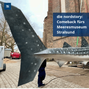 Trotz Baustopp und Datenklau: Das Deutsche Meeresmuseum feiert sein Comeback! 🧜‍♀️