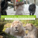 Kuschelige Auszeit: Die „Märchenzeit im Zoo Stralsund“