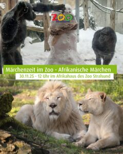 Kuschelige Auszeit: Die „Märchenzeit im Zoo Stralsund“ beginnt!