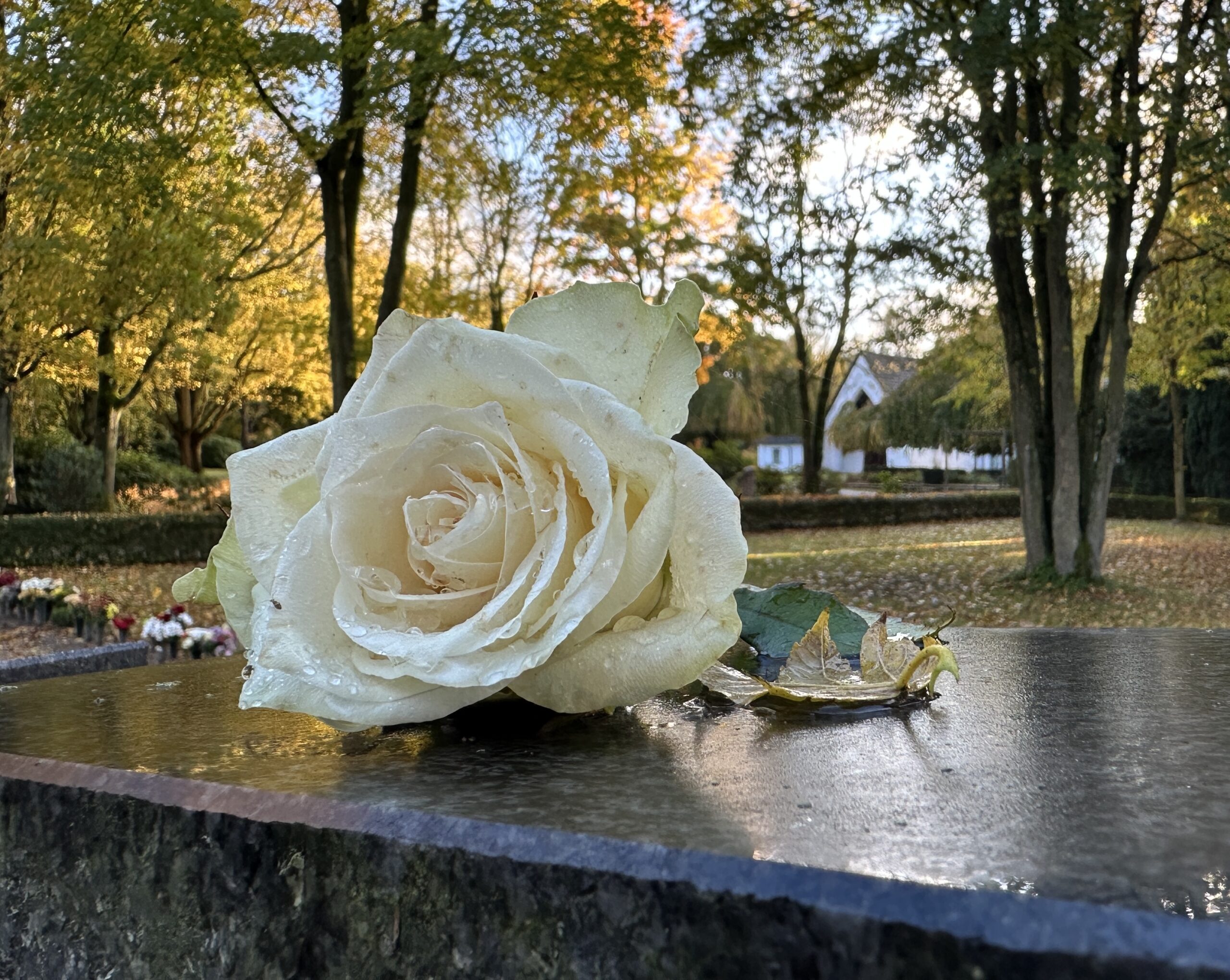 Gedenkveranstaltung zum Totensonntag/Ewigkeitssonntag am 23. November