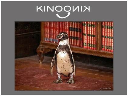 Der Pinguin meines Lebens