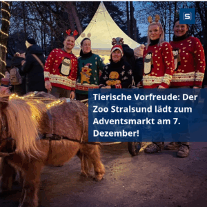 Tierische Vorfreude: Der Zoo Stralsund lädt zum Adventsmarkt am 7. Dezember!